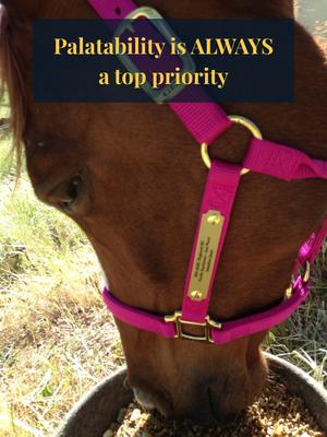 Show full view: Grand Meadows Grand Coat Nutritional Powder Horse Supplement, 5-lb tub slide 5 of 7