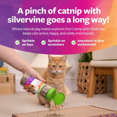 Show full view: SmartyKat Silvervine Cat Attractant Catnip, 2-oz canister slide 6 of 9