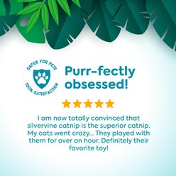 SmartyKat Instincts Soarin' Squirrel HappyNip Silvervine & Catnip Crinkle Plush Launch & Chase Cat Toy slide 2 of 8