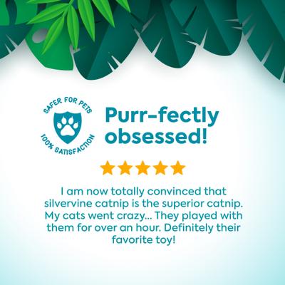 Show full view: SmartyKat Instincts Chatty Chirp Plush HappyNip Silvervine & Catnip Bird Electronic Sound Cat Toy slide 7 of 9