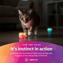 SmartyKat Flicker Balls Electronic Light Ball Cat Toy, Multicolor, Small, 2 count slide 2 of 7