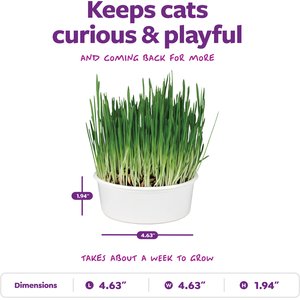 SmartyKat Sweet Greens Cat Grass Seed Kit, 1-oz bag