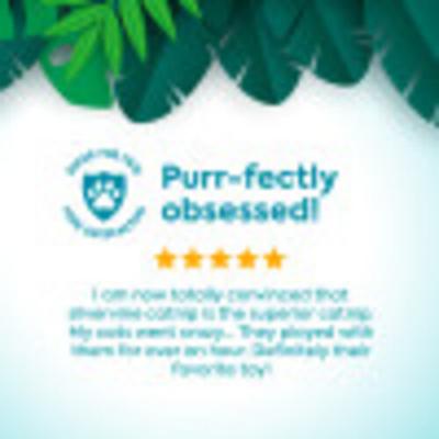 Show full view: SmartyKat Crazed Croc Refillable Kicker Cat Toy & Catnip Tube slide 7 of 9