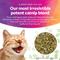 Show in main carousel: SmartyKat Silvervine Cat Attractant Catnip, 2-oz canister slide 5 of 9