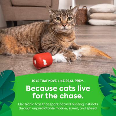 Show full view: SmartyKat Instincts Sneaky Spinner USB Rechargeable Teaser Electronic Motion Cat Toy slide 6 of 9