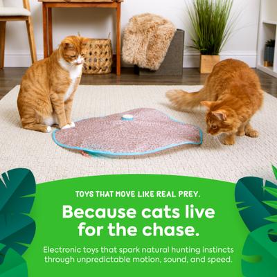 Show full view: SmartyKat Instincts Hidden Hijinks Electronic Motion Concealed Teaser Wand Cat Toy slide 5 of 8