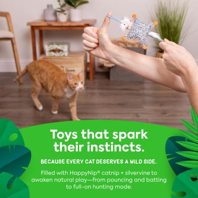 Show full view: SmartyKat Instincts Soarin' Squirrel HappyNip Silvervine & Catnip Crinkle Plush Launch & Chase Cat Toy slide 5 of 9