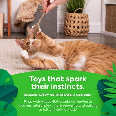 Show full view: SmartyKat Instincts Mouser Mayhem HappyNip Silvervine & Catnip Compressed Cat Toy, set of 2 slide 5 of 8