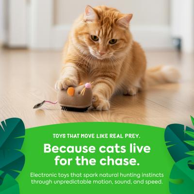 Show full view: SmartyKat Instincts Meandering Mouse Motion Battery Powered Plush Cat Toy slide 5 of 9