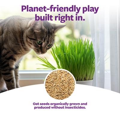 Show full view: SmartyKat Sweet Greens Cat Grass Seed Kit, 1-oz bag slide 5 of 9