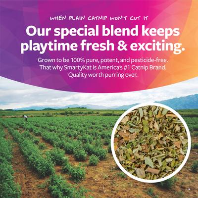 Show full view: SmartyKat Leggy Llama Kicker Cat Toy slide 4 of 9