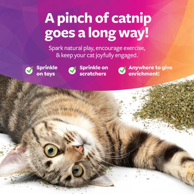 Show full view: SmartyKat USDA Certified Organic Catnip Cat Attractant, 0.5-oz pouch slide 6 of 11