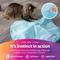 Show in main carousel: SmartyKat Hot Pursuit Electronic Concealed Motion Cat Toy, Blue slide 5 of 11