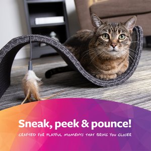 SmartyKat Scratch Scroll Sisal & Carpet Curled Cat Scratcher with Feather Toy, Color Varies