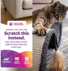 SmartyKat Scratch Scroll Sisal & Carpet Curled Cat Scratcher with Feather Toy, Color Varies slide 2 of 7