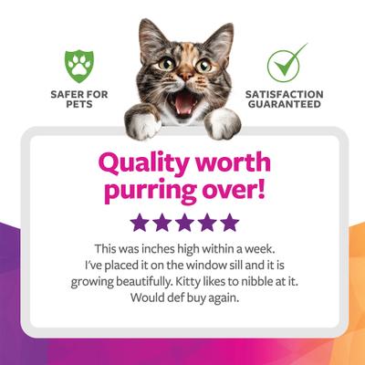 Show full view: SmartyKat Sweet Greens Cat Grass Seed Kit, 1-oz bag slide 7 of 9