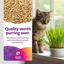 SmartyKat Sweet Greens Cat Grass Seed Kit, 1-oz bag slide 2 of 7