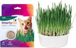 SmartyKat Sweet Greens Cat Grass Seed Kit, 1-oz bag