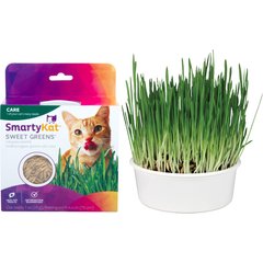 SmartyKat Sweet Greens Cat Grass Seed Kit, 1-oz bag