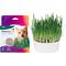 Show in main carousel: SmartyKat Sweet Greens Cat Grass Seed Kit, 1-oz bag slide 1 of 9