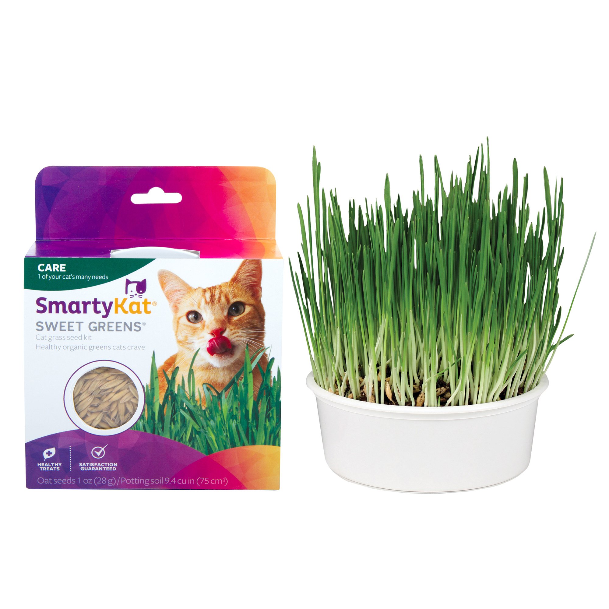 Sweet Greens Cat Grass Seed Kit