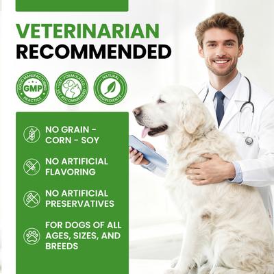 Show full view: BuddyCheer Probiotic Chicken Flavored Powder Digestive Aid Supplement for Dogs, 2.12-oz jar slide 10 of 10