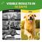 Show in main carousel: BuddyCheer Probiotic Chicken Flavored Powder Digestive Aid Supplement for Dogs, 2.12-oz jar slide 9 of 10