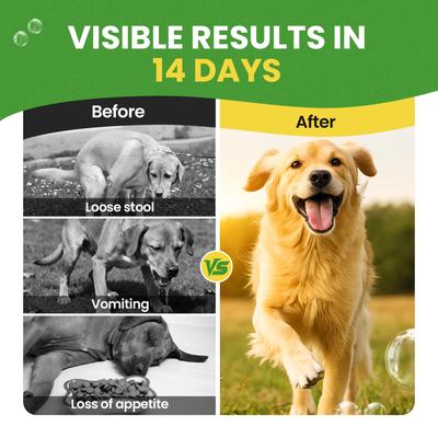 Show full view: BuddyCheer Probiotic Chicken Flavored Powder Digestive Aid Supplement for Dogs, 2.12-oz jar slide 9 of 10