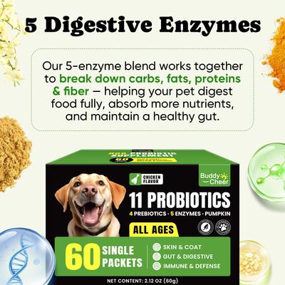 Show full view: BuddyCheer Probiotic Chicken Flavored Powder Digestive Aid Supplement for Dogs, 2.12-oz jar slide 5 of 10