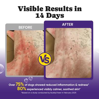 Show full view: BuddyCheer Chicken Flavored Soft Chew Allergy & Skin Relief Supplement for Dogs, 180 count slide 7 of 10