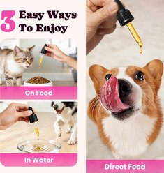 BuddyCheer Premium Collagen Bacon Flavored Liquid Allergy Supplement for Dogs & Cats, 4-fl oz bottle slide 2 of 9