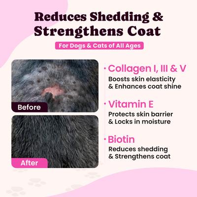 Show full view: BuddyCheer Premium Collagen Bacon Flavored Liquid Allergy Supplement for Dogs & Cats, 4-fl oz bottle slide 5 of 10