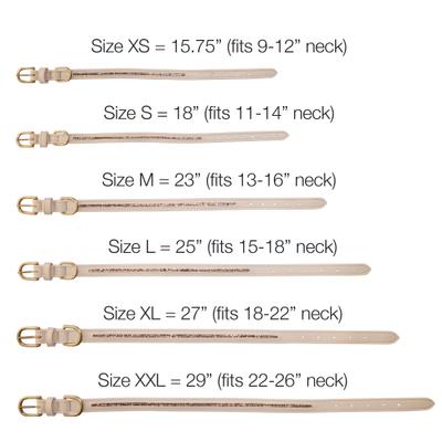 Show full view: Pet Passion Roxy The Crystal Bling Dog Collar, Alabaster, X-Large: 18 to 22-in neck, 1-in wide slide 9 of 10