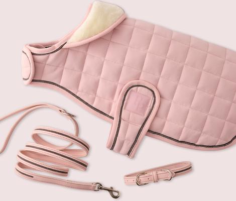 Show full view: Pet Passion Roxy The Crystal Bling Dog Collar, Blush, X-Small: 9 to 12-in neck, 3/4-in wide slide 6 of 9