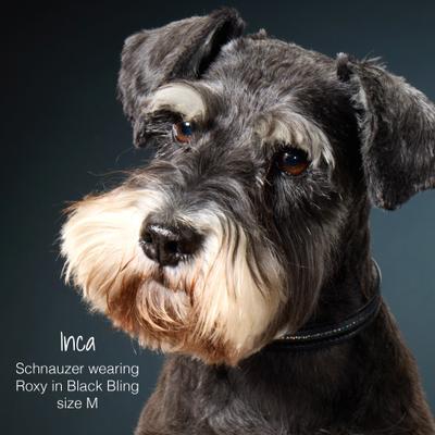 Show full view: Pet Passion Roxy The Crystal Bling Dog Collar, Black Bling, XX-Large: 22 to 26-in neck, 1-in wide slide 4 of 9