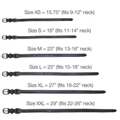 Show full view: Pet Passion Roxy The Crystal Bling Dog Collar, Black Bling, XX-Large: 22 to 26-in neck, 1-in wide slide 8 of 9