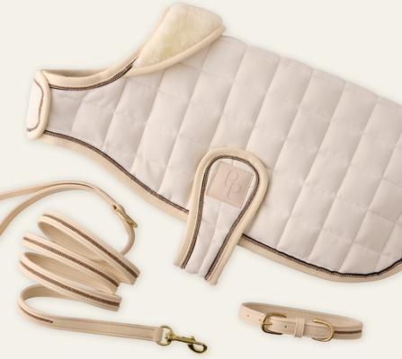 Show full view: Pet Passion Roxy The Crystal Bling Dog Collar, Alabaster, X-Large: 18 to 22-in neck, 1-in wide slide 7 of 10