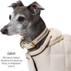 Pet Passion Roxy The Crystal Bling Dog Collar, Alabaster, Small: 11 to 14-in neck, 3/4-in wide slide 2 of 9