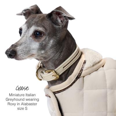 Show full view: Pet Passion Roxy The Crystal Bling Dog Collar, Alabaster, X-Large: 18 to 22-in neck, 1-in wide slide 5 of 10