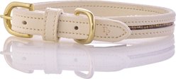 Pet Passion Roxy The Crystal Bling Dog Collar, Alabaster, Small: 11 to 14-in neck, 3/4-in wide