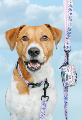 Show full view: Sassy Woof Hello Kitty & Friends Flower Festival Dog Collar, Medium:19.7-in neck, 3/4-in wide slide 6 of 7