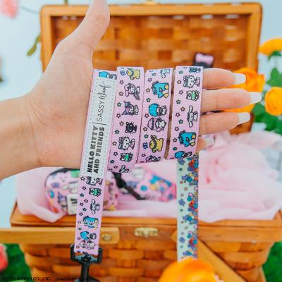 Show full view: Sassy Woof Hello Kitty & Friends Flower Festival Dog Leash, 5-ft long, 4/5-in wide slide 5 of 7