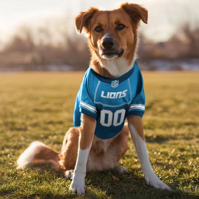 Show full view: Littlearth NFL Game Day Dog & Cat Jersey, Detroit Lions, X-Small slide 2 of 8
