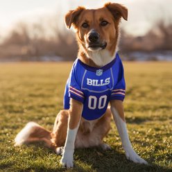 Littlearth NFL Game Day Dog & Cat Jersey, Buffalo Bills, Big Dog slide 2 of 7