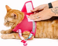 Pink Papyrus Reflective Nylon Cat Harness & Leash Set, Pink, Small slide 2 of 9