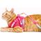 Show in main carousel: Pink Papyrus Reflective Nylon Cat Harness & Leash Set, Pink, Small slide 8 of 10