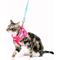 Show in main carousel: Pink Papyrus Reflective Nylon Cat Harness & Leash Set, Pink, Small slide 7 of 10