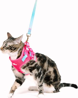 Show full view: Pink Papyrus Reflective Nylon Cat Harness & Leash Set, Pink, Small slide 7 of 10