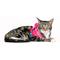 Show in main carousel: Pink Papyrus Reflective Nylon Cat Harness & Leash Set, Pink, Small slide 6 of 10