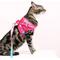 Show in main carousel: Pink Papyrus Reflective Nylon Cat Harness & Leash Set, Pink, Small slide 4 of 10